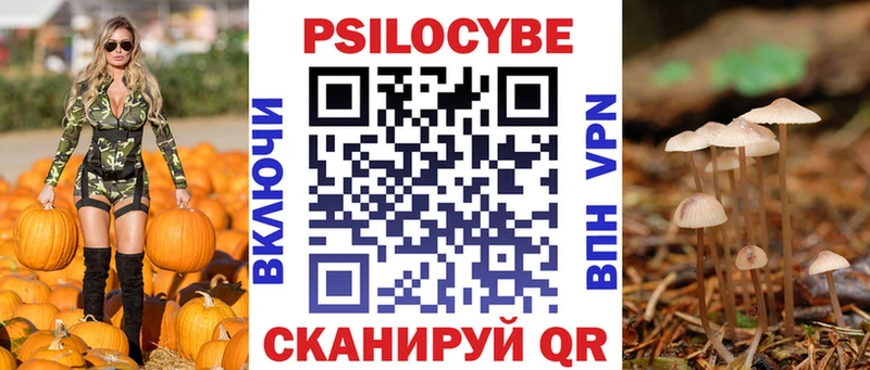 Псилоцибиновые грибы мухоморы  где найти наркотики  Лениногорск 